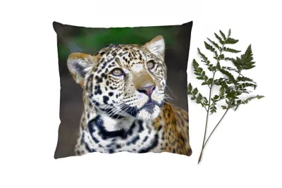 Produktbild von MuchoWow® Zierkissen Sofakissen Wohnzimmer Dekokissen 50x50 cm Leopard - Kopf - Wald - Komfort - Sofakissen