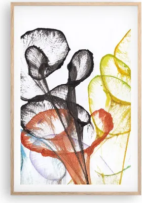 Produktbild von Gerahmtes Poster - Rahmen in heller Eiche - Blumen Abstraktion Surrealismus - 61x91,5 cm - Wand Bild - Wanddeko - Wandbilder - Kunstposter - Wandposter - Bilderrahmen - Bilder - P2NPA61x91-4444