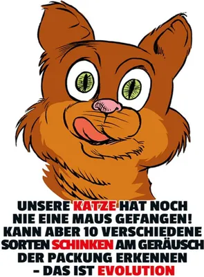 Produktbild von vianmo Holzschild 40x30 cm Katze hat noch nie Maus gefangen