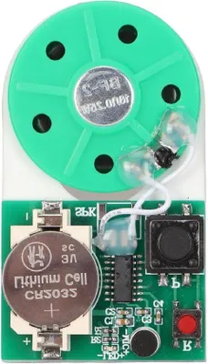 Produktbild von Handgeklöpftes Schallplatten-Set - Schallplattenrekorder - Knopfdruckbedienung - Anpassbare Aufnahme - Wunschplatten .