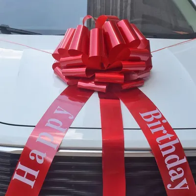 Imagen del producto de Lazo grande para regalos, color rojo, 45 cm