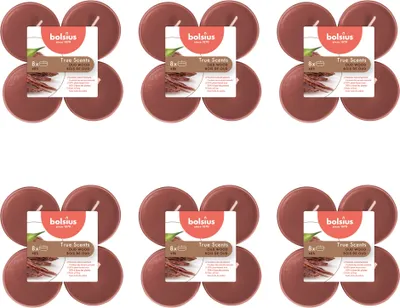 Produktbild von Bolsius - True Scents - Maxi - Duft-Teelichter - 8 Stück pro Packung - Klare Tasse - Oud-Holz - Vorteilspack - 48 Stücke - 6 Verpackung