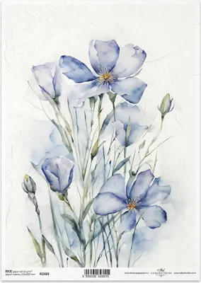 Immagine prodotto di ITD carta di riso decoupage tecnica artigianale tovagliolo di carta-R2469 fiori estivi
