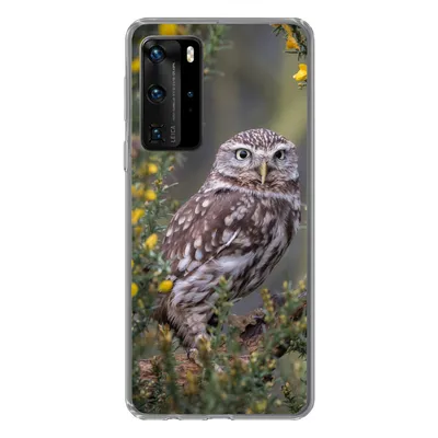Produktbild von MuchoWow® Handyhülle Schutzhülle Hülle für Huawei P40 Pro Eine kleine braune Eule sitzt da und starrt nach vorne Silikon Softcase Handy Hülle - Schutz