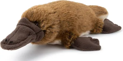 A plush toy platypus lying on a white background.
