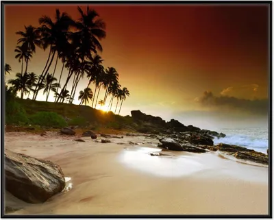 Produktbild von Wallario Wandbild Sri Lanka - Palmenstrand mit Sonnenuntergang, Größe: 40,30 x 50,30 cm, Poster mit schwarzem Aluminiumrahmen