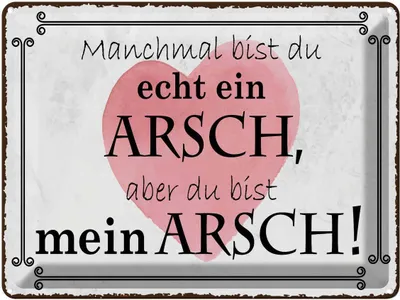 Produktbild von vianmo Blechschild 30x40 cm manchmal bist du ein ARSCH aber Spruch Zitat