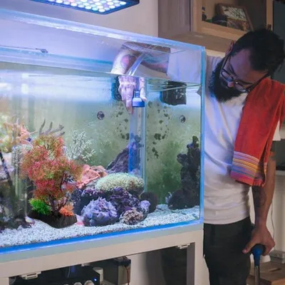 Kunstpflanzen für Aquarium, 23 cm lang, farbenfrohe Dekorationen für Unterwasserwelt und Aquascaping