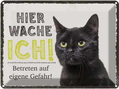 Produktbild von vianmo Blechschild 30x40 cm Katze hier wache ich eigene Gefahr Tier Haustier