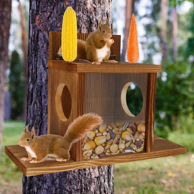 Eichhörnchen-Futterhaus aus Holz, wetterfest, mit Sichtfenster