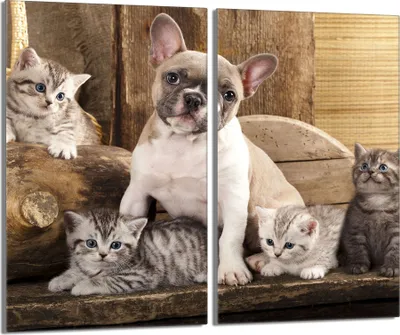 Image de Plaques de recouvrement pour cuisinière 2 pièces 30x52 Couverture de plaque vitrocéramique verre, chat chien