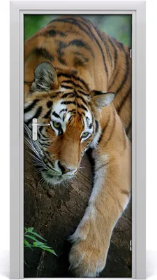 Produktbild von Tulup Türaufkleber 85x205 cm Dekorative Aufkleber Selbstklebend Wasserdichte Tapete Abnehmbar Schlafzimmer Wohnzimmer Wohnkultur - Tiger einem Baum