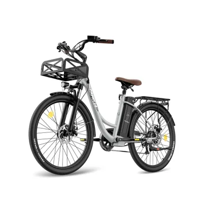 Produktbild von Elektrisches Fahrrad FAFREES F26 Lasting - Motor 250W Akku 36V25Ah 26x1.95 Zoll Reifen Mechanische Scheibenbremsen - Grau