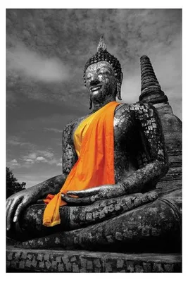 Imagen del producto de Buda - color naranja - 61x91,5 cm - Póster