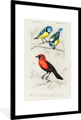 Produktbild von MuchoWow® MuchoWow® Gerahmtes Poster Vogel - Vintage - Zweig 60x90 cm - Poster mit zchwarzem Bilderrahmen - Dekoration - Wandposter Wohnzimmer - Hochwertig