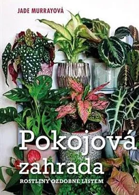 Image de Pokojová zahrada : rostliny ozdobné listem | Dominika Dubcová