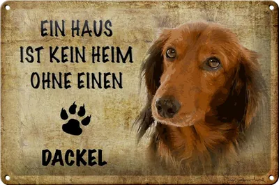 Produktbild von Blechschild Spruch 30x20cm Dackel Hund ohne kein Heim