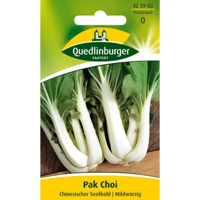 Produktbild von Pak Choi Chinesischer Senfkohl