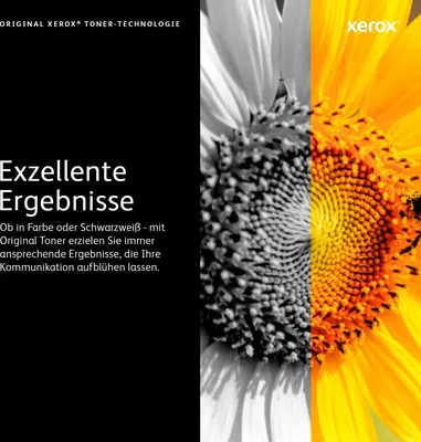 Produktbild von Xerox 106R02626, 10000 Seiten, Schwarz, 2 Stück(e)