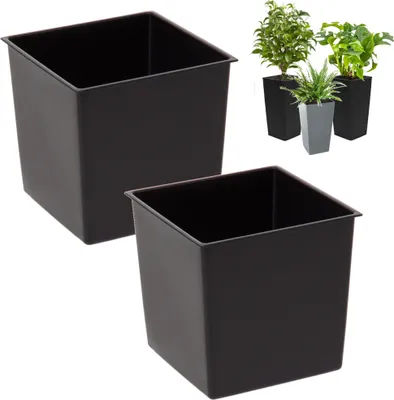 Two black square plant pots are shown against a white background. In the background, three potted plants in different colored pots are visible.