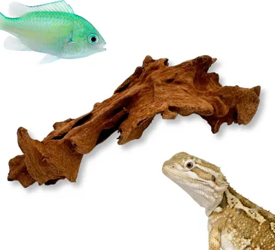 Produktbild von BioRoot Mangrovenwurzel für Terrarium und Aquarium XS 10cm