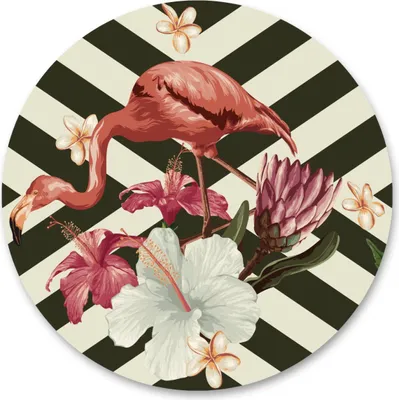 Produktbild von Sticker rund FLAMINGO Blumen Pflanzen Natur Streifen Abstraktion Wohnzimmer Kinderzimmer Wanddekoration Aufkleber 100 cm x 100 cm