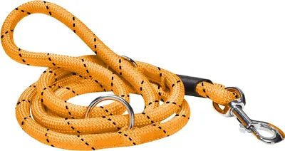Produktbild von Inny, Hundeleine 150 cm mit verstellbarem Halsband, Gelb