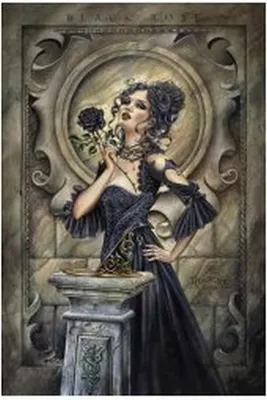Productafbeelding van Alchemy - Zwarte Roos - 61x91,5 cm - Poster