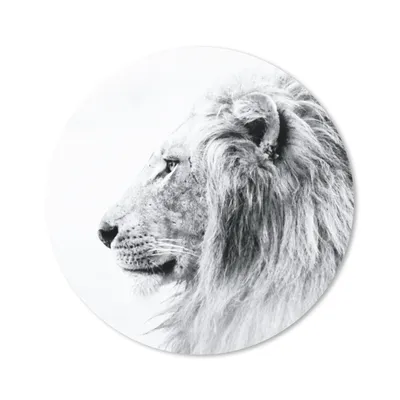 Produktbild von MuchoWow® Mauspad Mousepad Löwe - Schwarz - Weiß - Tiere 40x40 cm - Mousepads - Maus Mat - Pad - Mausunterlage - Schreibtisch Accessoires