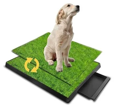 Zdjęcie produktu dla Mata do siusiu dla psa sztuczna trawa treningowa 51X63 cm zestaw 2