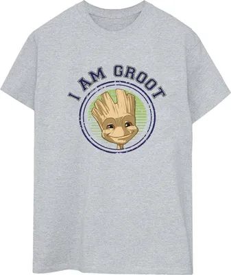 Produktbild von Guardians Of The Galaxy - T-Shirt für Damen BI25523 (M) (Grau)