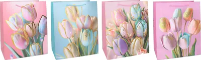 Obrázek produktu pro Dárková taška L 41,5x30x12 cm Celorok