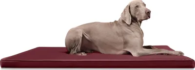Produktbild von CARLOS Ortho-Medic Orthopädische Hundematte Kunstleder Visco Hundebett Matratze - Größe: 100x80cm | Farbe: 04 Dunkelrot