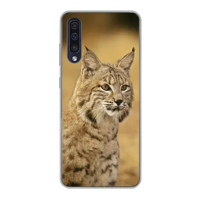 Produktbild von MuchoWow® Handyhülle Schutzhülle Hülle für Samsung Galaxy A30s Luchs - Braun - Gras Silikon Softcase Handy Hülle - Karteninhaber