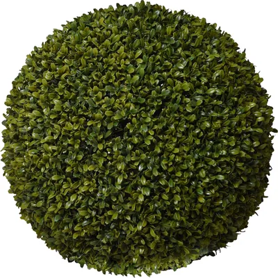Immagine prodotto di Pianta artificiale BUX in plastica, verde, 45x45 cm