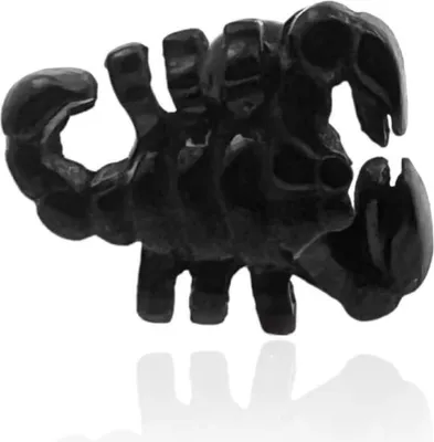 Produktbild von Helix Tragus Ohrpiercing 316L Chirurgenstahl mit Skorpion in schwarz