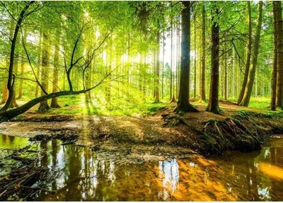 Immagine prodotto di Tela fotografica con paesaggio - Decorazione da parete moderna - 352 x 250 cm