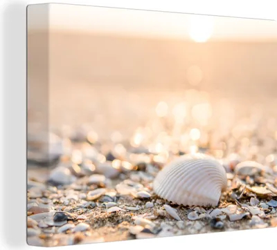 Produktbild von MuchoWow® - Leinwandbilder - Muscheln - Weiß - Strand - Sommer, Wandbild, Wanddeko Bilder Wohnzimmer, 40x30 cm