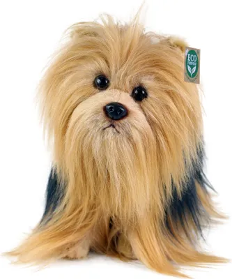 Produktbild von Plüsch Yorkshire Terrier 30 cm umweltfreundlich