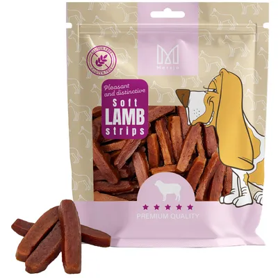 A bag of dog treats with some treats spilled in front.
