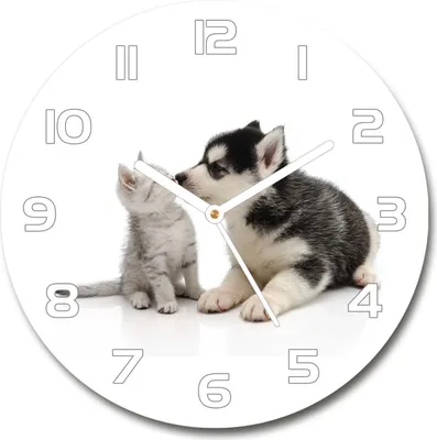 Produktbild von Wanduhr aus Glas 30fi Glasbild Glasuhr Gehärtetes Glas - weisse-zeiger - Dog and cat