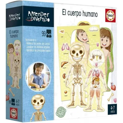 Zdjęcie produktu dla Educa Borras - Premium Akcesorium The Human Body w Motywie Hiszpaskim