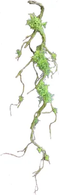 Produktbild von Moos Girlande Hellgrün 108 cm Kunstpflanze Flora