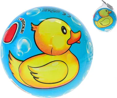Obrázek produktu pro Míč 23cm kačenka 10m+ v síťce