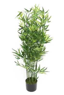 Produktbild von Kunstpflanze Bambus Topf 115cm – Dekopflanze