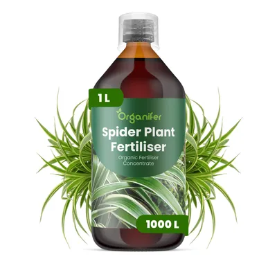 Zdjęcie produktu dla Zelenec Nawóz Płynny 1 L – 2-1-8 NPK – Do Zelence – Podporuje Silny Wzrost i Zdrowe Liście – Organifer