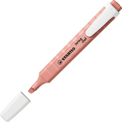 Produktbild von STABILO swing cool NatureCOLORS Marker 1 Stück(e) Meißel Braun
