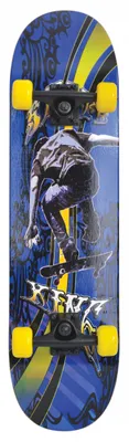 Obrázok produktu pre Schildkröt Funsports Slider 31, Skateboard (klasický), Viacfarebný, Javorové drevo, Obrázok, 80 kg, Chlapec / dievča