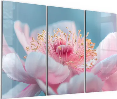 Produktbild von DEQORI Glasbild Echtglas 3x50x100 cm 'Pfingstrosenpoesie' Wandbilder XXL groß