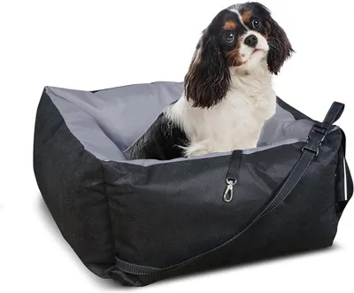 Hunde-Transportbox, Hauptbild